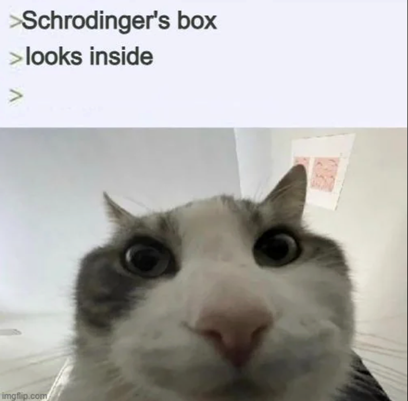 >Schrodinger's box > looks inside A A imgflip.com