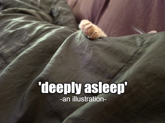 'deeply asleep' -an illustration-