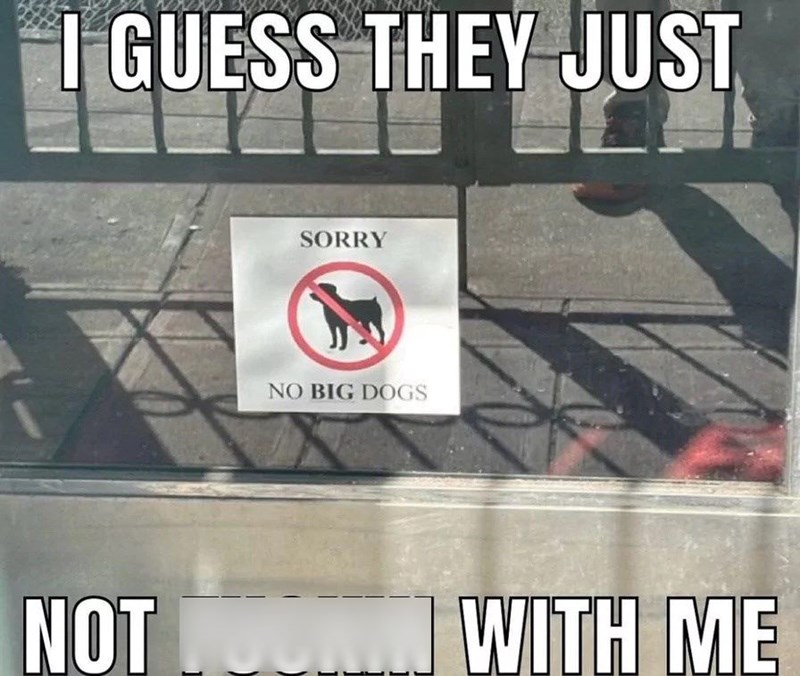 I GUESS THEY JUST NOT SORRY NO BIG DOGS WITH ME
