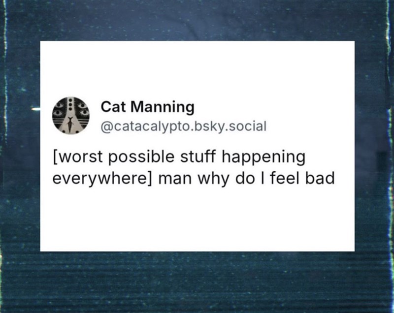 Cat Manning @catacalypto.bsky.social [worst possible stuff happening everywhere] man why do I feel bad