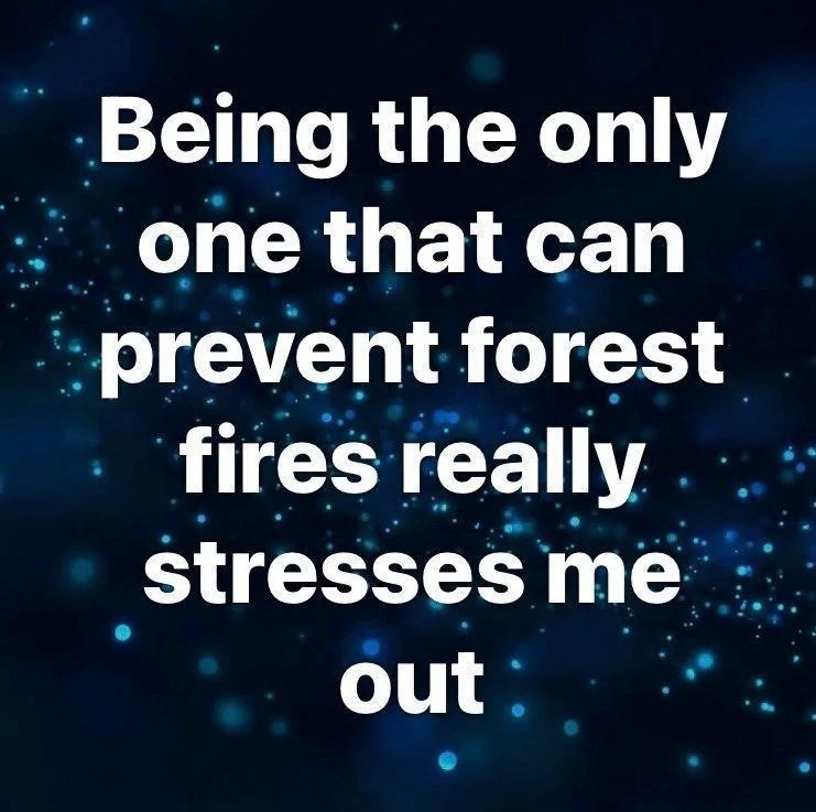 Being the only one that can prevent forest fires really stresses me out