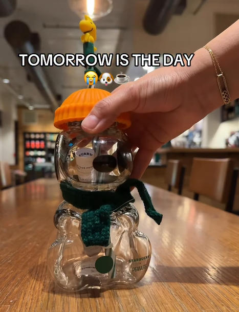 TOMORROW IS THE DAY STARD STARBUCKS PEAMUS