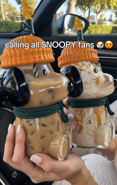 calling all SNOOPY fans