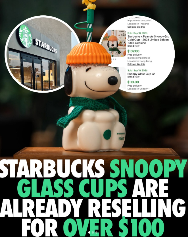 STARBUCKS PUMPKIN S PEANUT www.w.u Import fees due prior. Located in Thailand Sell one like this Sold Sep 10, 2026 Starbucks x Peanuts Snoopy Gla Cold Cup-2026 Limited Edition 100% Genuine Brand New $109.00 Free delivery Includes import fees Located in Hong Kong Sell one like this Sold Sep 10, 2026 Snoopy Glass Cup x2 Brand New $110.00 Free delivery Located in United STARBUC PEAMUS STARBUCKS SNOOPY GLASS CUPS ARE ALREADY RESELLING FOR OVER $100