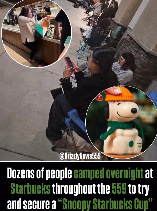 GrizzlyNews559 Dozens of people camped overnight at Starbucks throughout the 559 to try and secure a "Snoopy Starbucks Cup"