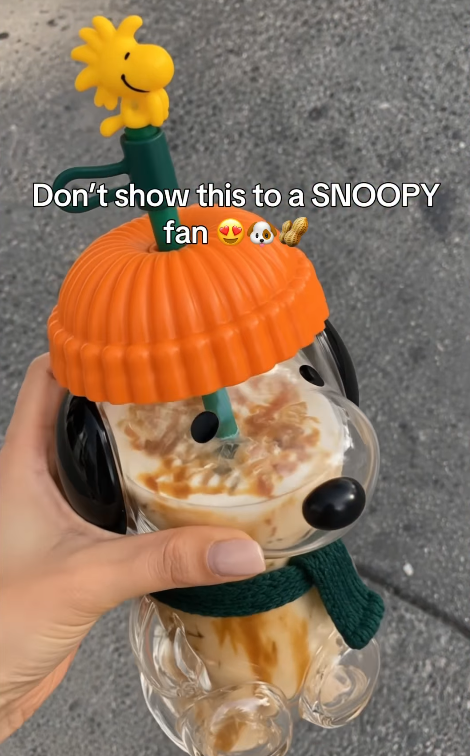 Don't show this to a SNOOPY fan