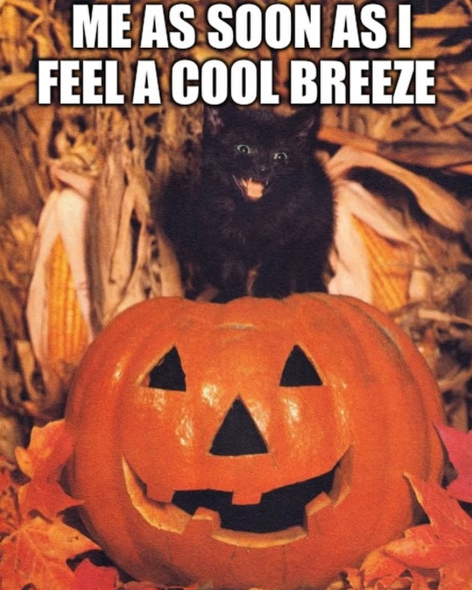 ME AS SOON AS I FEEL A COOL BREEZE