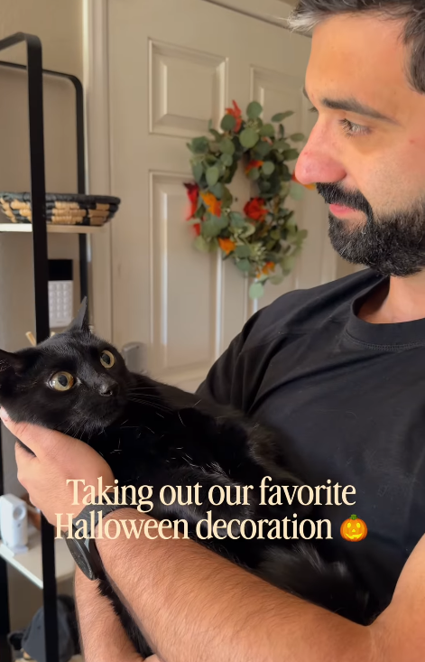 Taking out our favorite Halloween decoration