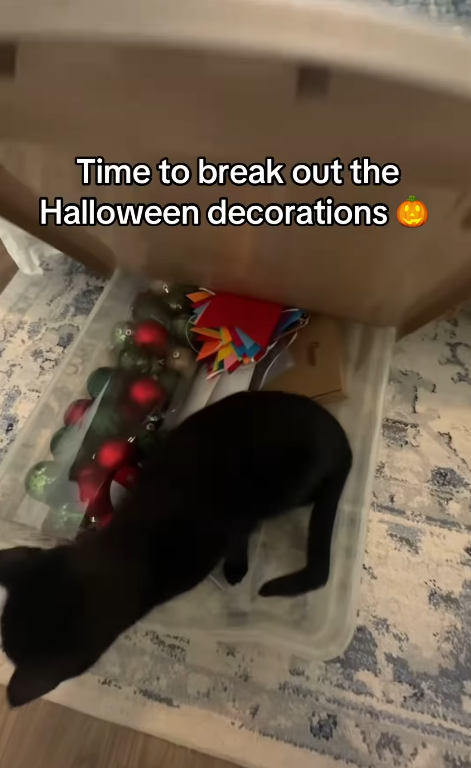Time to break out the Halloween decorations