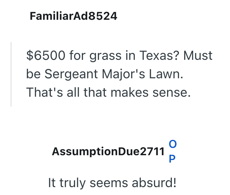 FamiliarAd8524 $6500 for grass in Texas? Must be Sergeant Major's Lawn. That's all that makes sense. AssumptionDue2711 P It truly seems absurd!