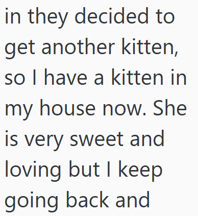 in they decided to get another kitten, so I have a kitten in my house now. She is very sweet and loving but I keep going back and