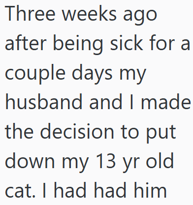 Three weeks ago after being sick for a couple days my husband and I made the decision to put down my 13 yr old cat. I had had him