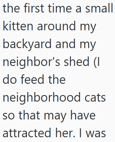 the first time a small kitten around my backyard and my neighbor's shed (I do feed the neighborhood cats so that may have attracted her. I was