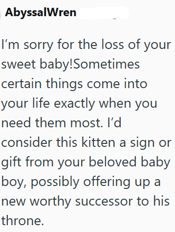 Abyssal Wren I'm sorry for the loss of your sweet baby!Sometimes certain things come into your life exactly when you need them most. I'd consider this kitten a sign or gift from your beloved baby boy, possibly offering up a new worthy successor to his throne.