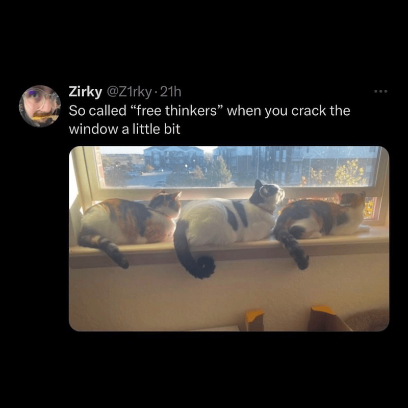 Zirky @Z1rky-21h So called "free thinkers" when you crack the window a little bit