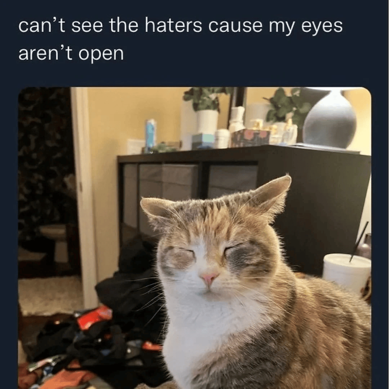 can't see the haters cause my eyes aren't open