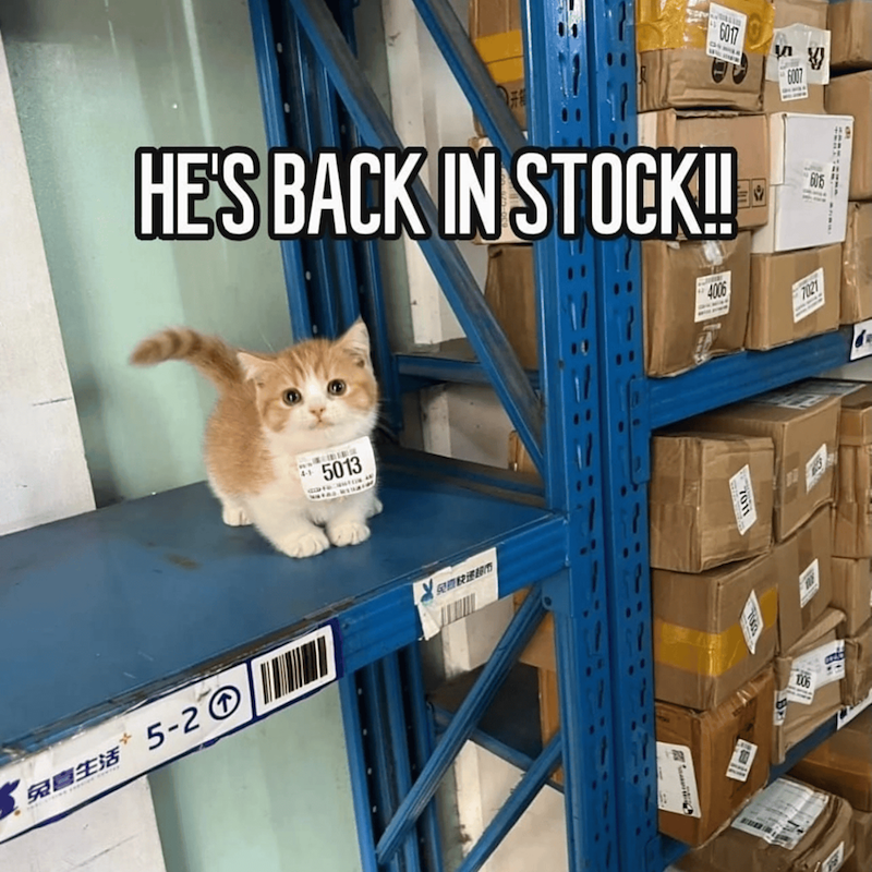 6017 6007 HE'S BACK IN STOCK!! 免園生活 5-2 5013 SOMBRE LOS 4006 7021 1006 1