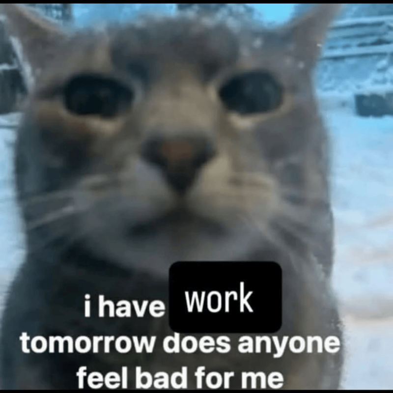 i have work tomorrow does anyone feel bad for me