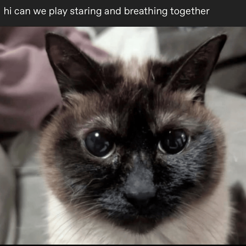 hi can we play staring and breathing together