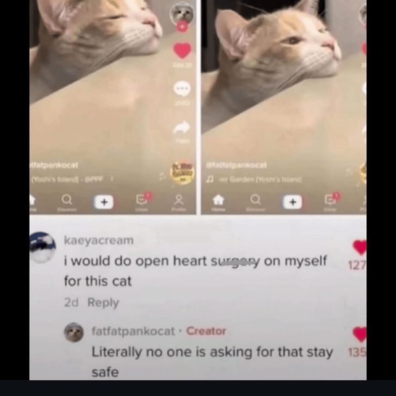 fatpankocat (Yoshi's Island) OPPF @tattatpankocal ♫er Garden (Yoshi's Island kaeyacream i would do open heart surgery on myself for this cat 2d Reply fatfatpankocat - Creator 127 Literally no one is asking for that stay 135 safe