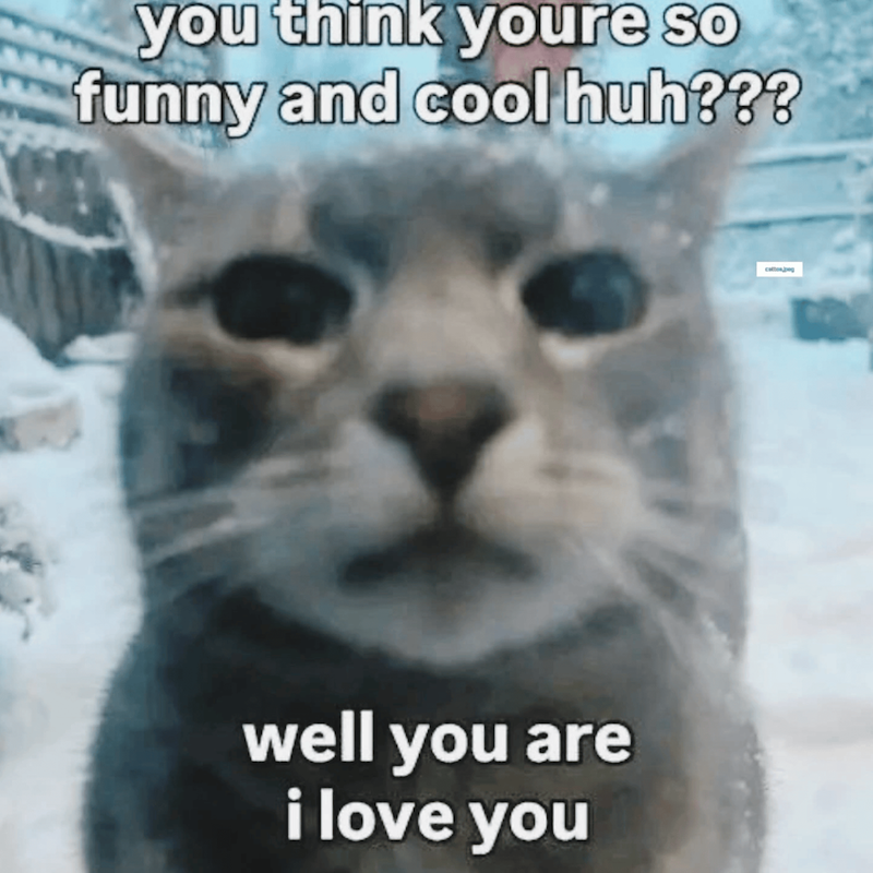 you think youre so funny and cool huh??? well you are i love you catton peg