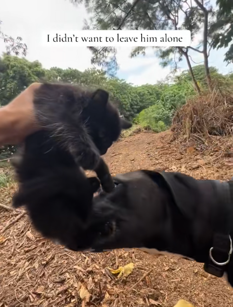 I didn't want to leave him alone