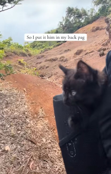 So I put it him in my back pag