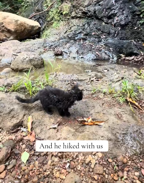 And he hiked with us