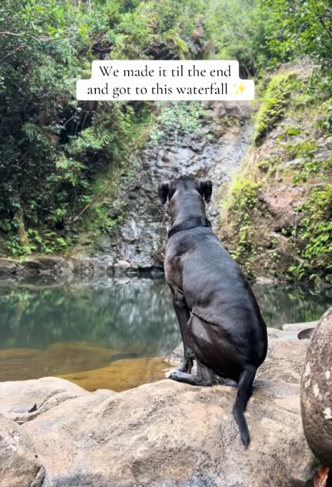 We made it til the end. and got to this waterfall