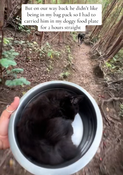 But on our way back he didn't like being in my bag pack so I had to carried him in my doggy food plate for 2 hours straight