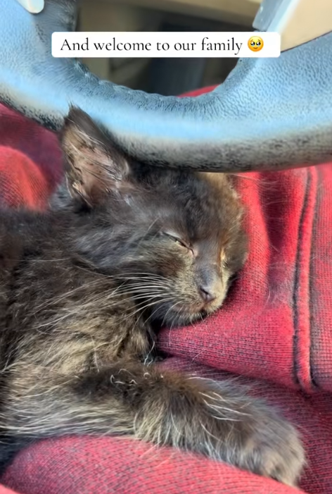 And welcome to our family