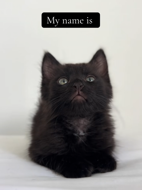My name is