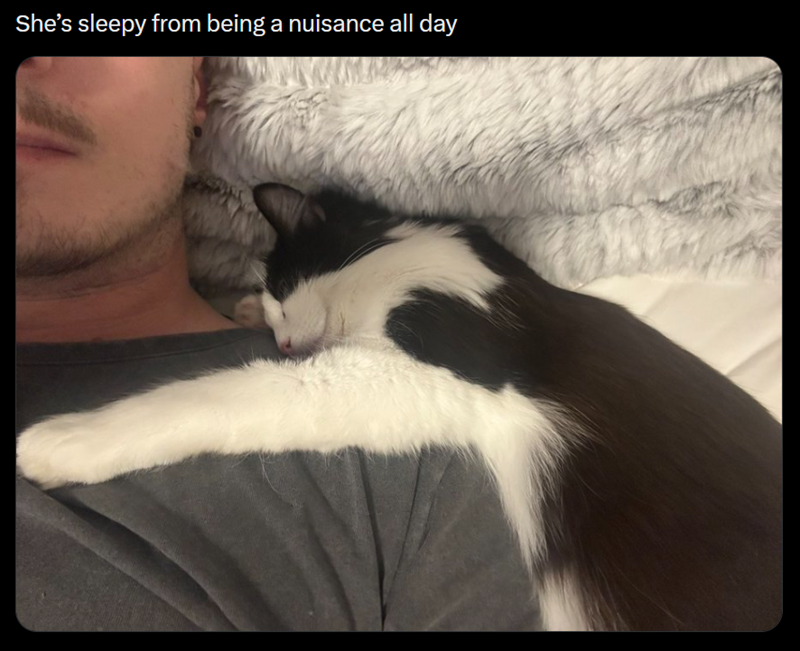 She's sleepy from being a nuisance all day