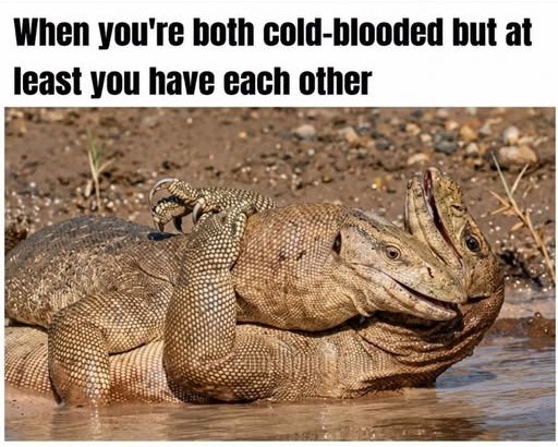 When you're both cold-blooded but at least you have each other