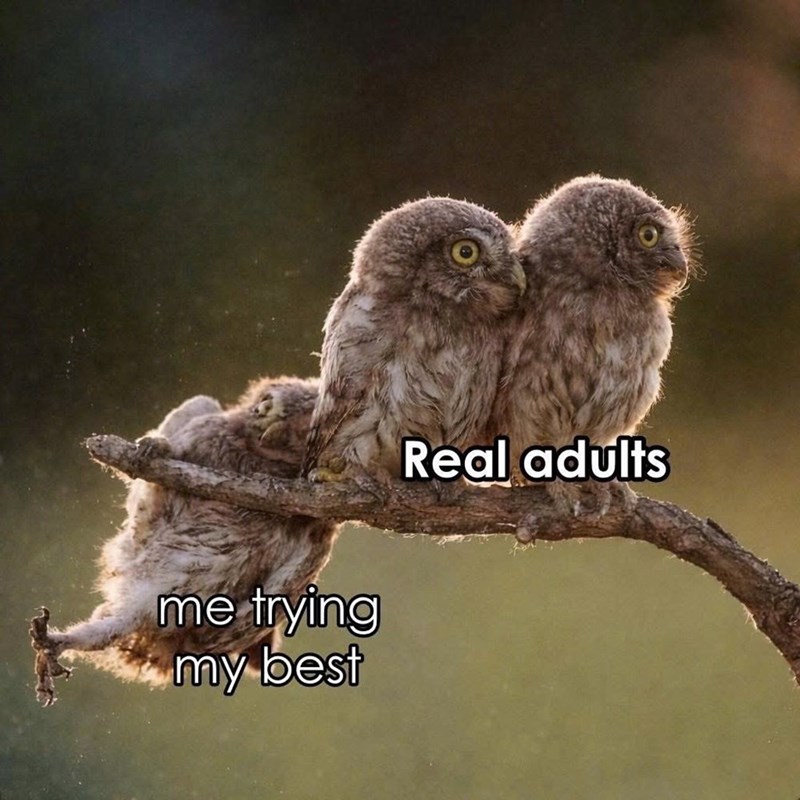 me trying my best Real adults
