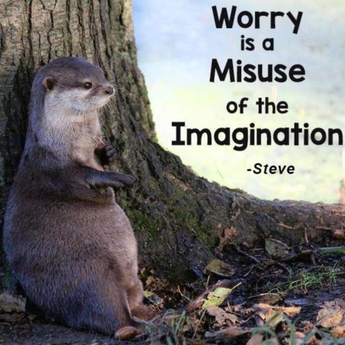Worry is a Misuse of the Imagination -Steve