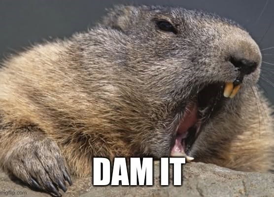 DAM IT mgflip.com