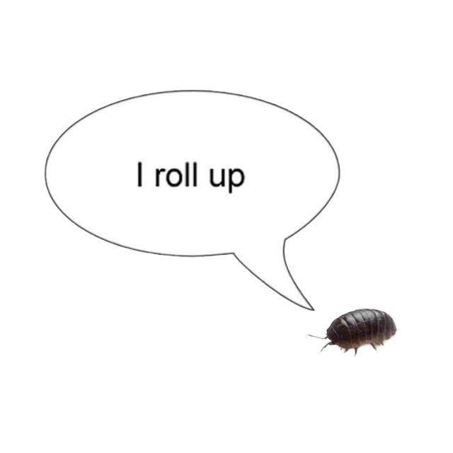 I roll up