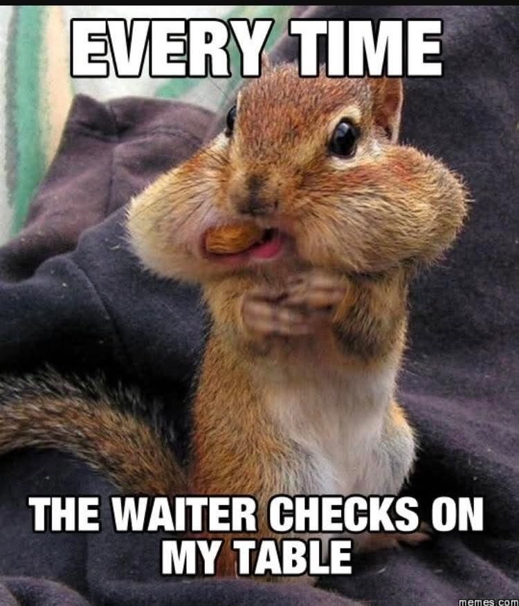 EVERY TIME THE WAITER CHECKS ON MY TABLE memes.com
