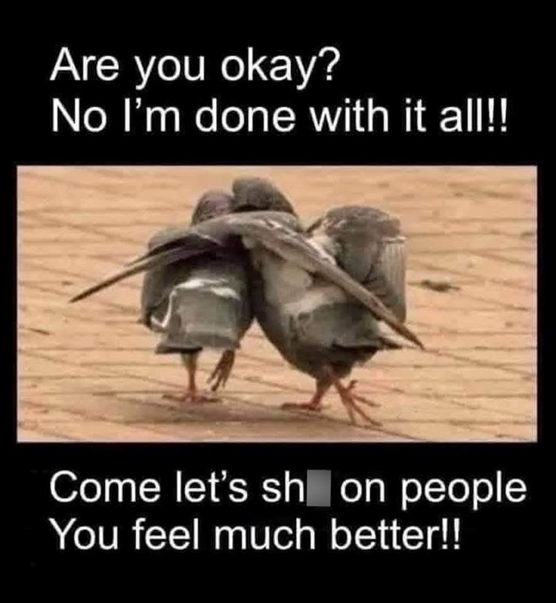 Are you okay? No I'm done with it all!! Come let's sh on people You feel much better!!