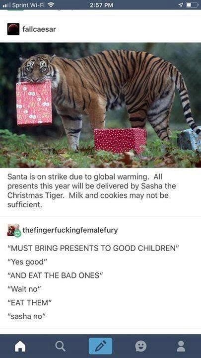 Sprint Wi-Fi 2:57 PM fallcaesar Santa is on strike due to global warming. All presents this year will be delivered by Sasha the Christmas Tiger. Milk and cookies may not be sufficient. thefingerfuckingfemalefury "MUST BRING PRESENTS TO GOOD CHILDREN" "Yes good" "AND EAT THE BAD ONES" "Wait no" "EAT THEM" "sasha no" Do