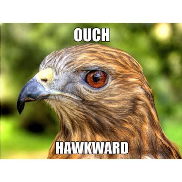 OUCH HAWKWARD