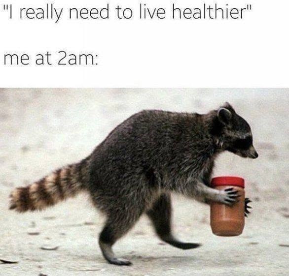 "I really need to live healthier" me at 2am: