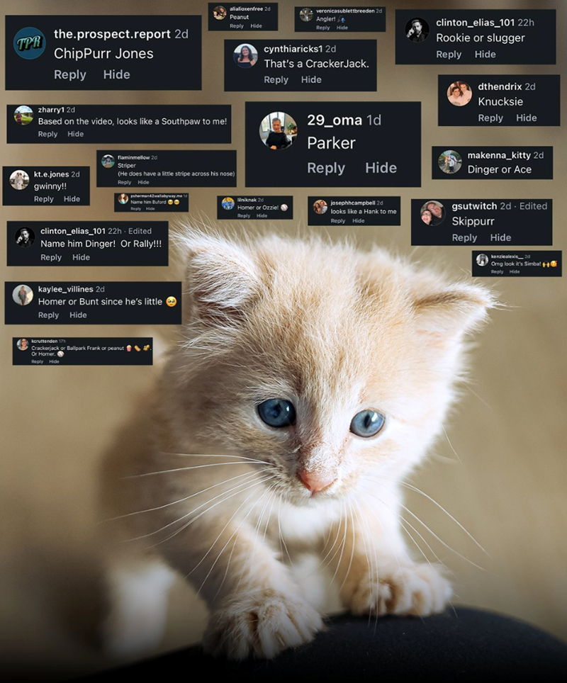 TPR the.prospect.report 2d ChipPurr Jones Reply Hide zharry1 2d Based on the video, looks like a Southpaw to me! Reply Hide kt.e.jones 2d gwinny!! Reply Hide alialioxenfree 2d Peanut Reply Hide veronicasublettbreeden 2d Angler! Reply Hide cynthiaricks1 2d That's a Cracker Jack. clinton_elias 101 22h Rookie or slugger Reply Hide flaminmellow 2d Striper (He does have a little stripe across his nose) Reply Hide psherman42wallabyway.me 1d Name him Buford Reply Hide clinton_elias 101 22h - Edited Nam