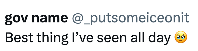 gov name @_putsomeiceonit Best thing I've seen all day