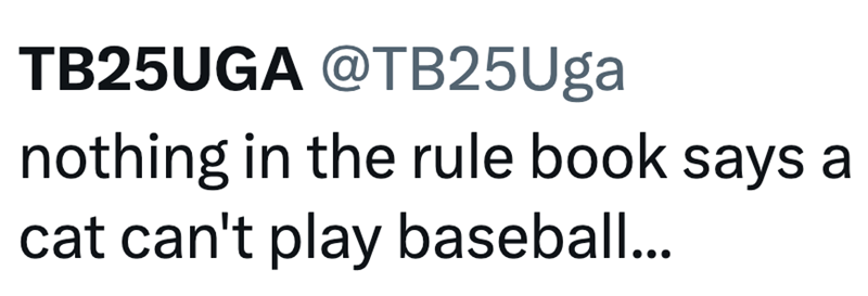 TB25UGA @TB25Uga nothing in the rule book says a cat can't play baseball...