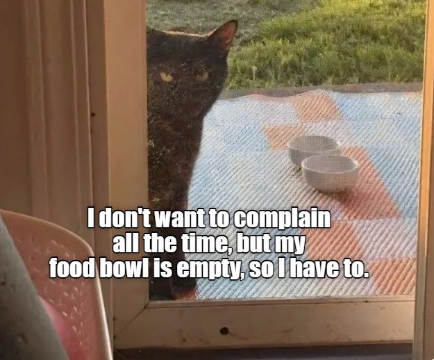 I don't want to complain all the time, but my food bowl is empty, so I have to.