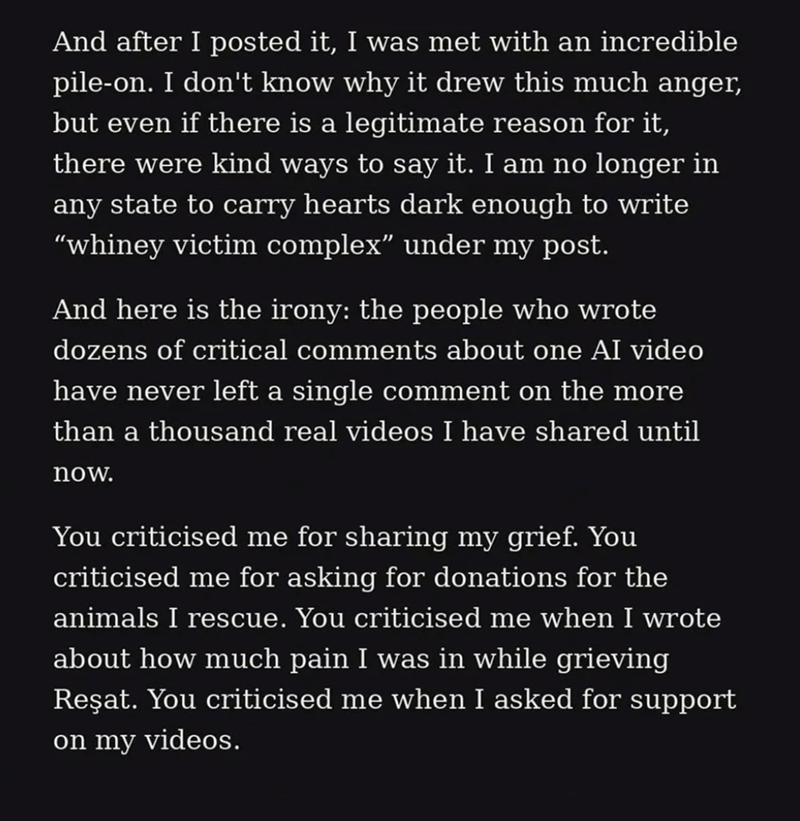 And after I posted it, I was met with an incredible pile-on. I don't know why it drew this much anger, but even if there is a legitimate reason for it, there were kind ways to say it. I am no longer in any state to carry hearts dark enough to write “whiney victim complex” under my post. And here is the irony: the people who wrote dozens of critical comments about one AI video have never left a single comment on the more than a thousand real videos I have shared until now. You criticised me for s