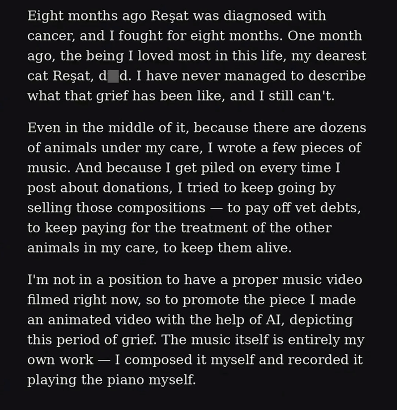 Eight months ago Reşat was diagnosed with cancer, and I fought for eight months. One month ago, the being I loved most in this life, my dearest cat Reşat, dd. I have never managed to describe what that grief has been like, and I still can't. Even in the middle of it, because there are dozens of animals under my care, I wrote a few pieces of music. And because I get piled on every time I post about donations, I tried to keep going by selling those compositions to pay off vet debts, to keep paying
