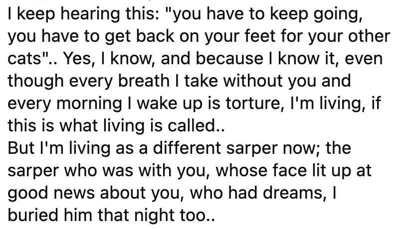 I keep hearing this: "you have to keep going, you have to get back on your feet for your other cats".. Yes, I know, and because I know it, even though every breath I take without you and every morning I wake up is torture, I'm living, if this is what living is called.. But I'm living as a different sarper now; the sarper who was with you, whose face lit up at good news about you, who had dreams, I buried him that night too..